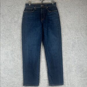 BLDWN Vintage Straight Dark Wash High Rise  Straight Leg Jeans Size 28 Women’s